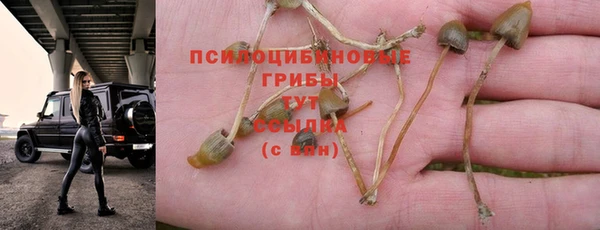 соль курить ск Няндома