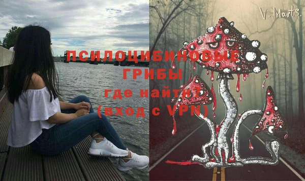 соль курить ск Няндома