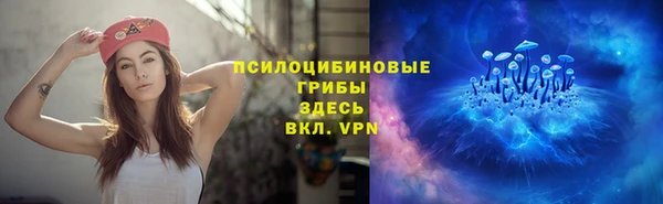 соль ск Новозыбков