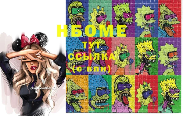 ECSTASY Новодвинск