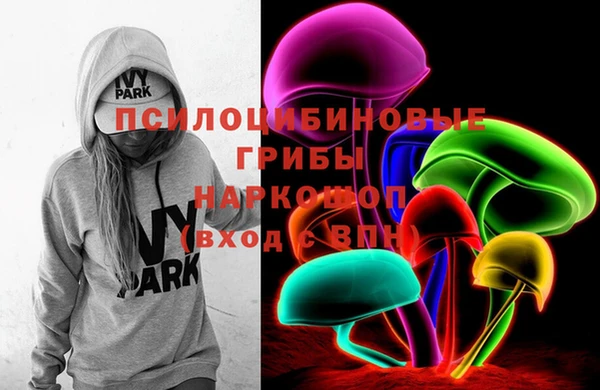 ECSTASY Новодвинск