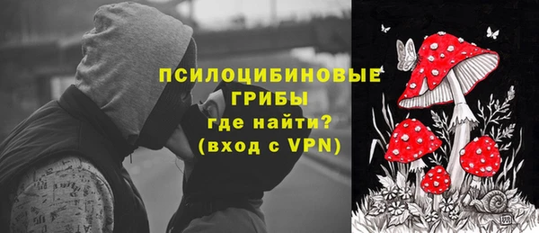 spice Нягань