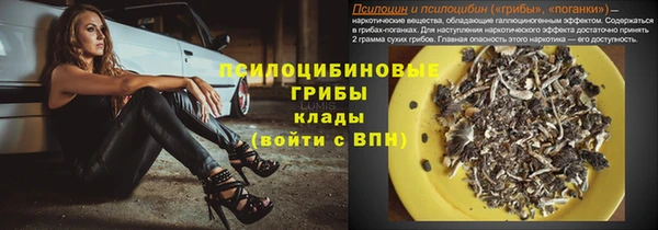 соль курить ск Няндома